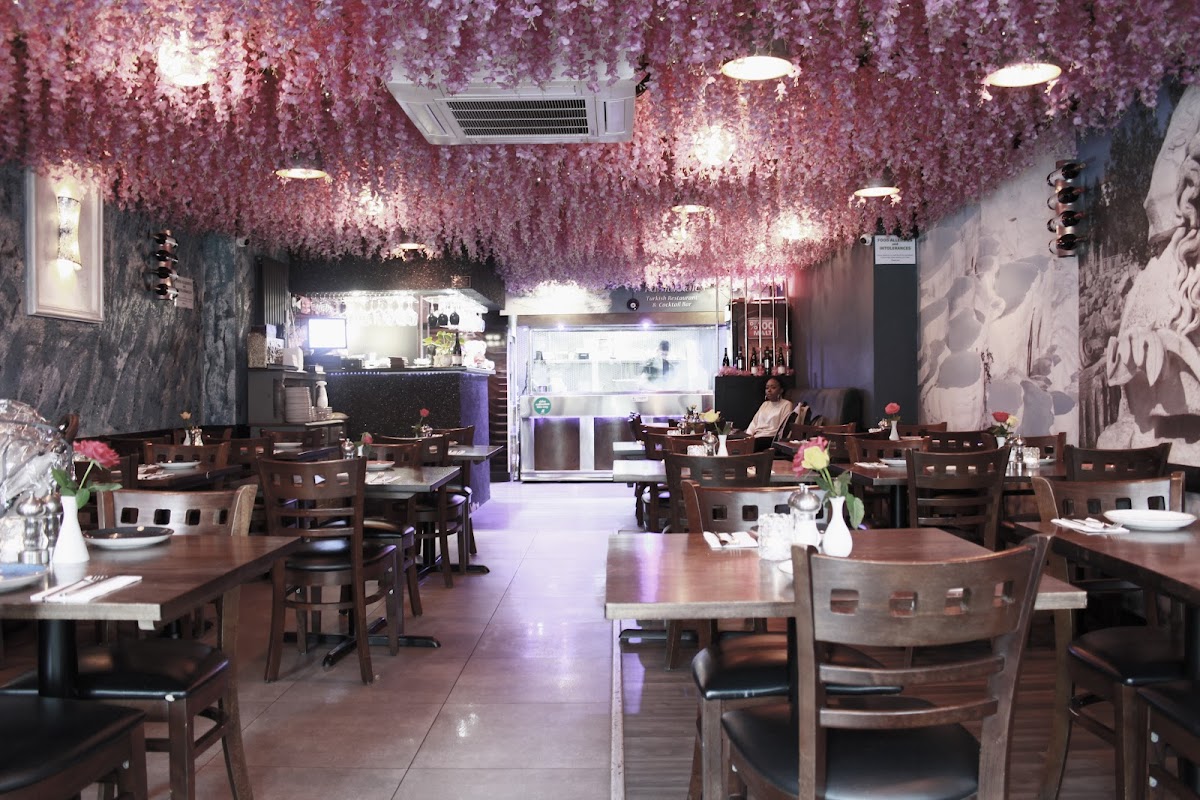 Pamukkale Turkish Restaurant Brighton